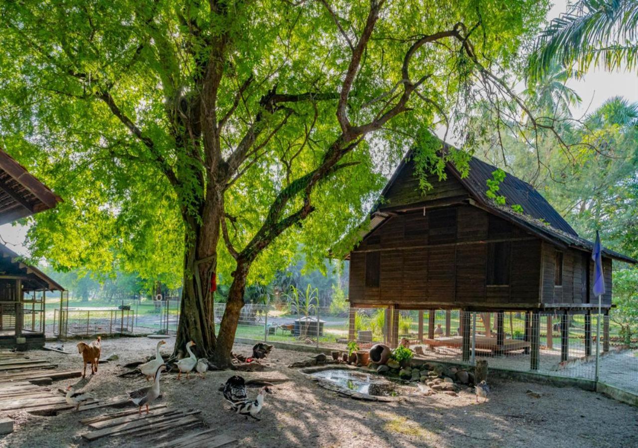 เพอลังอิ บีช รีสอร์ต แอนด์ สปา ลังกาวี Hotel Langkawi ภายนอก รูปภาพ A traditional house in Perak, Malaysia