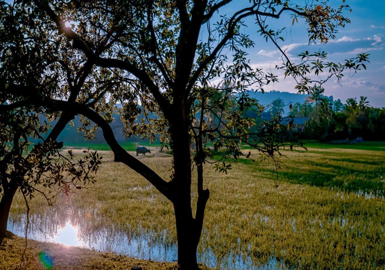 เพอลังอิ บีช รีสอร์ต แอนด์ สปา ลังกาวี Hotel Langkawi ภายนอก รูปภาพ A view of the paddy fields in the village