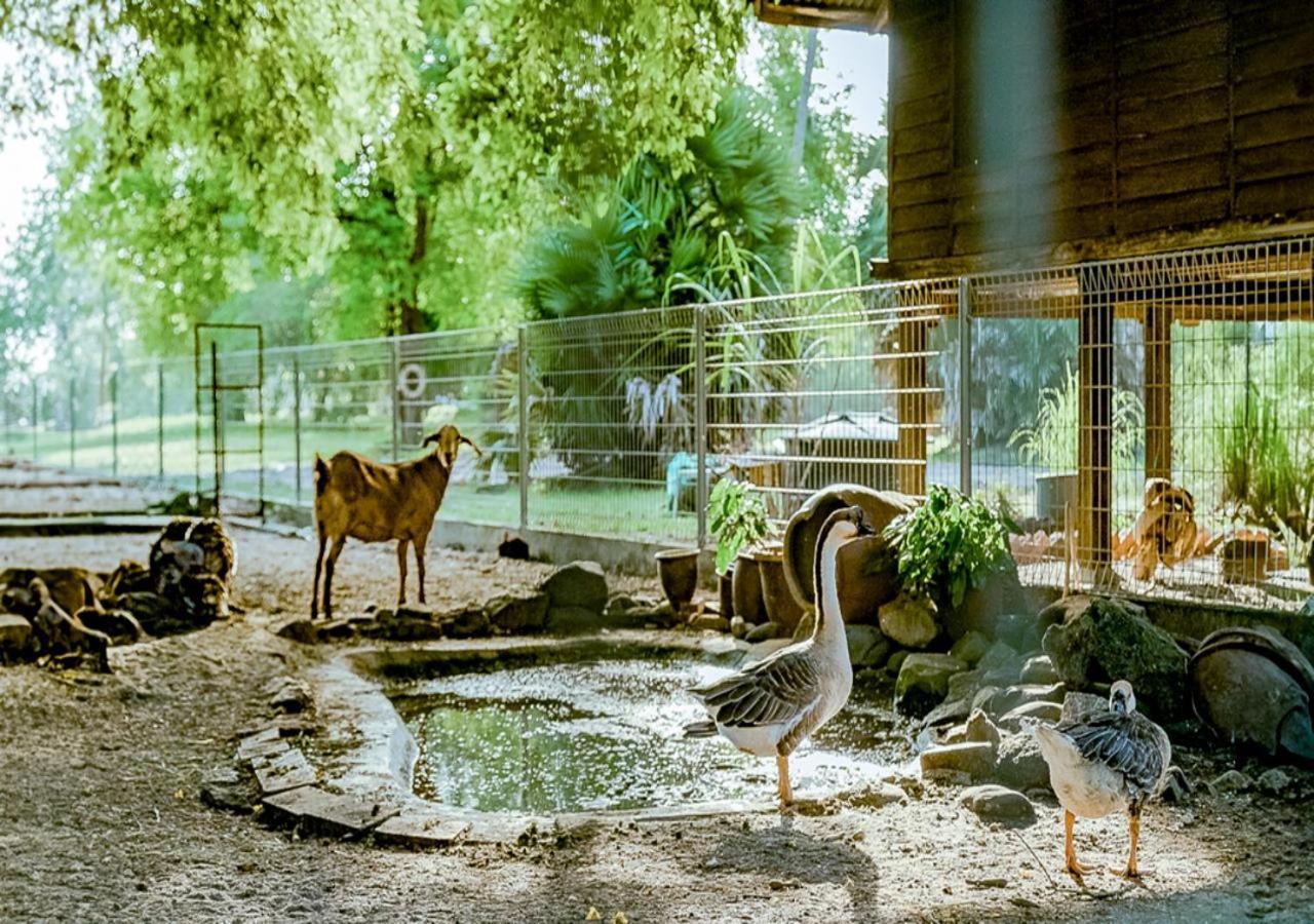 เพอลังอิ บีช รีสอร์ต แอนด์ สปา ลังกาวี Hotel Langkawi ภายนอก รูปภาพ The goat barn at the Old Zoo